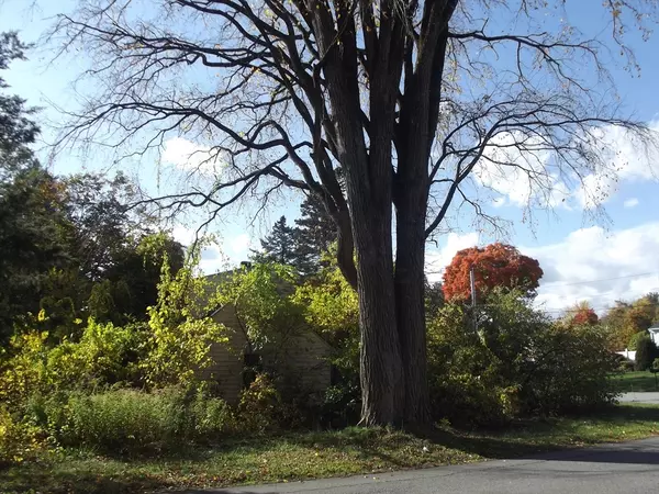 Lunenburg, MA 01462,3 Rennie St