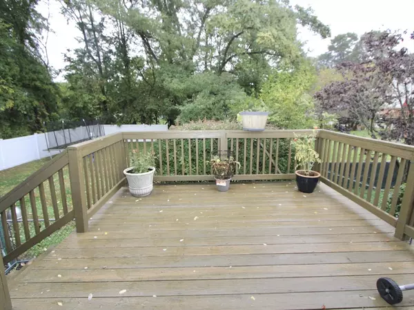 Worcester, MA 01604,11 Phoenix St