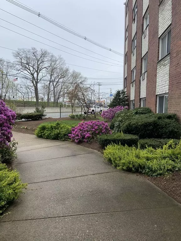 Weymouth, MA 02188,215 Winter St #1P