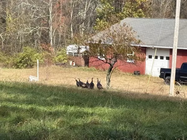 Hardwick, MA 01031,0/ 194 Old Greenwich Plains Road