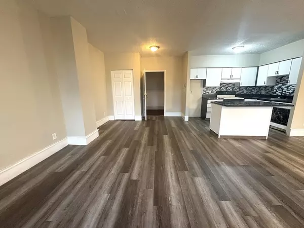 Springfield, MA 01103,140 Chestnut St #204