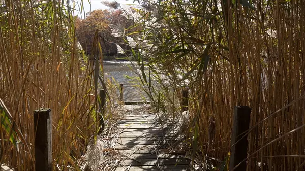 Warwick, RI 02889,199 Cottage Grove Ave