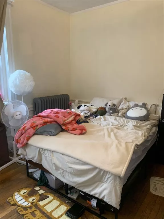 Brookline, MA 02446,54 Egmont St #3