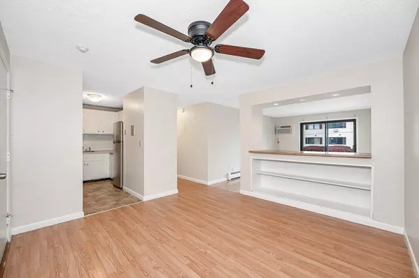 Lowell, MA 01854,307 Pawtucket Blvd #13