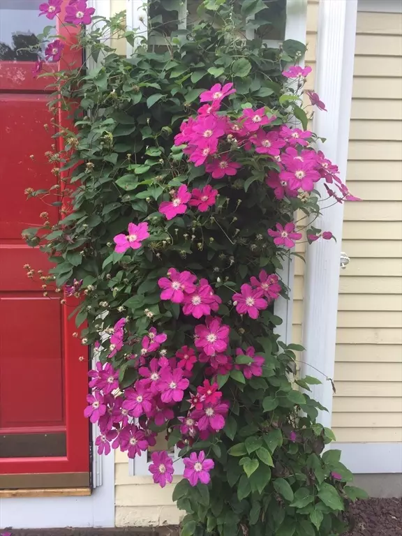 Plymouth, MA 02360,200 Plympton Rd