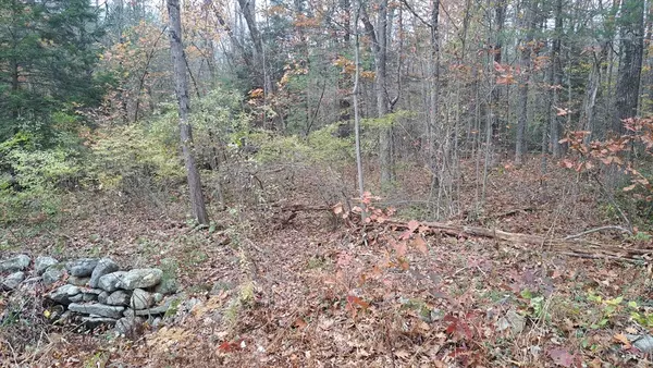 Westminster, MA 01473,0 Minott Rd