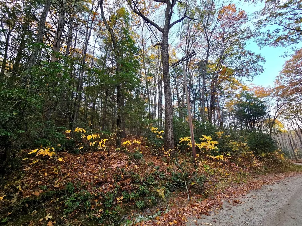 Shutesbury, MA 01072,0 Cooleyville Rd