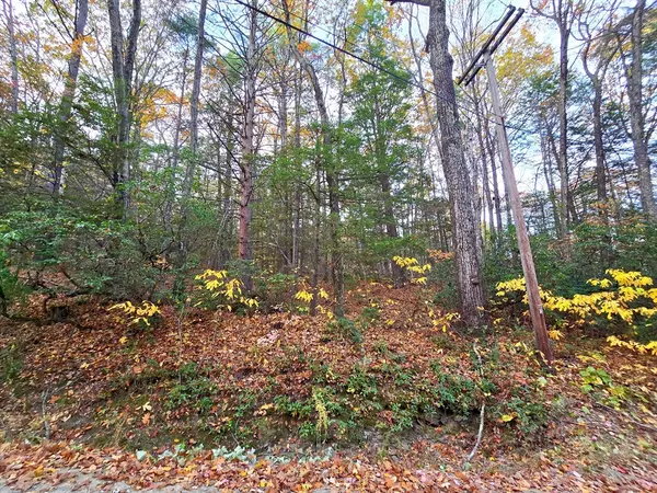 Shutesbury, MA 01072,0 Cooleyville Rd