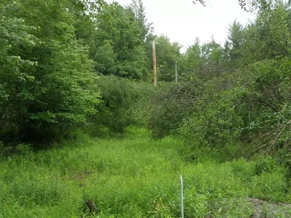 Ashfield, MA 01330,333 Ranney Corner Rd