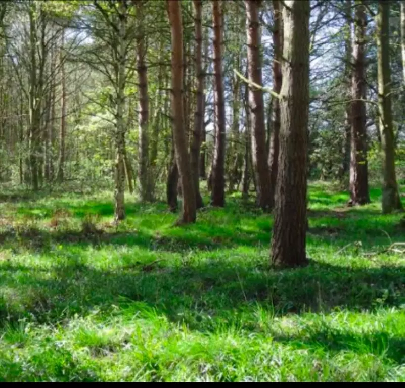 Easton, MA 02256,LOT 2 Winterberry Ln