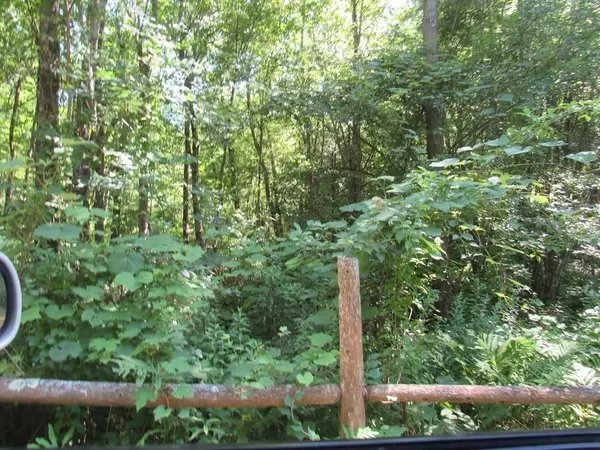 Paxton, MA 01612,217 Grove St