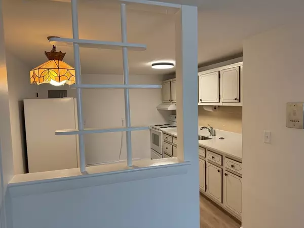 Watertown, MA 02472,183 Mount Auburn St #15