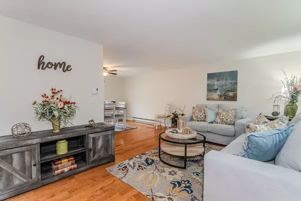 South Hadley, MA 01075,150 Pearl St