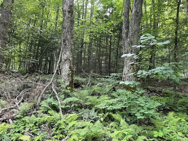 Huntington, MA 01050,0 Goss Hill Road/Kimball Road