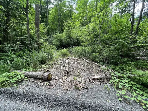 Huntington, MA 01050,0 Goss Hill Road/Kimball Road