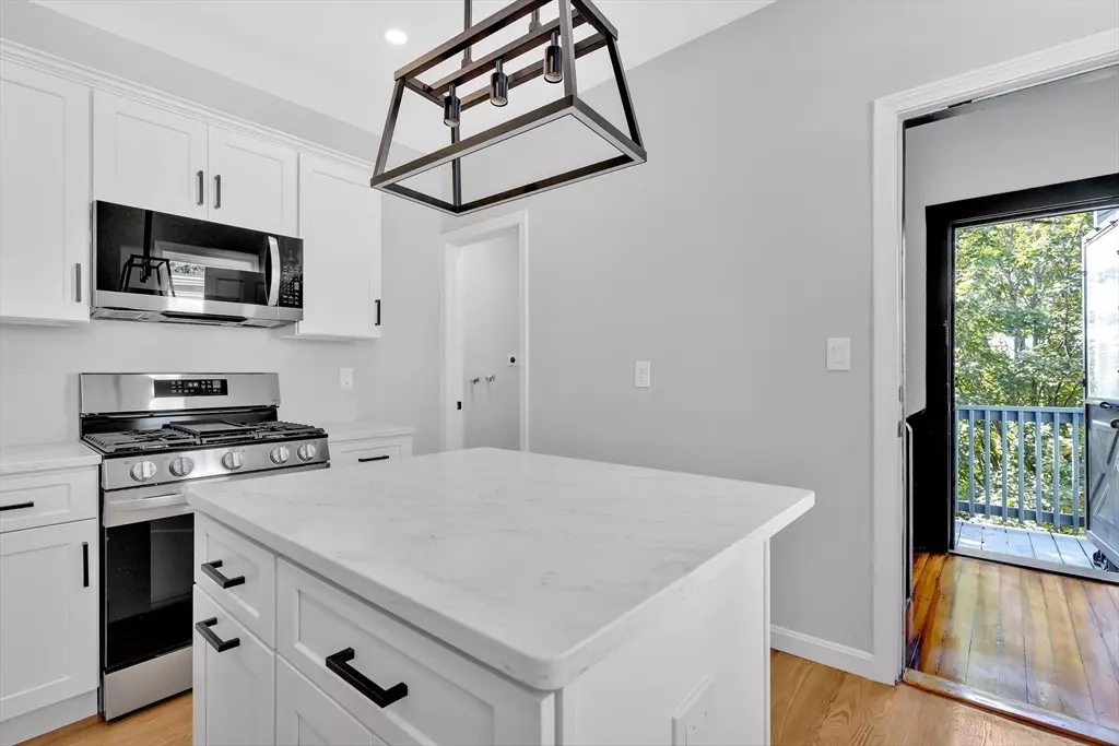 Boston, MA 02119,51 Beech Glen #3