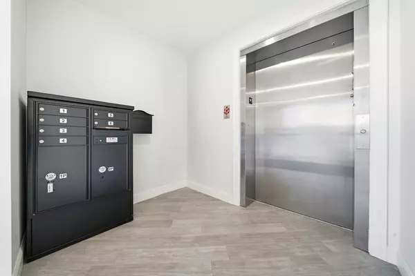 Quincy, MA 02169,50 N. Payne St #1