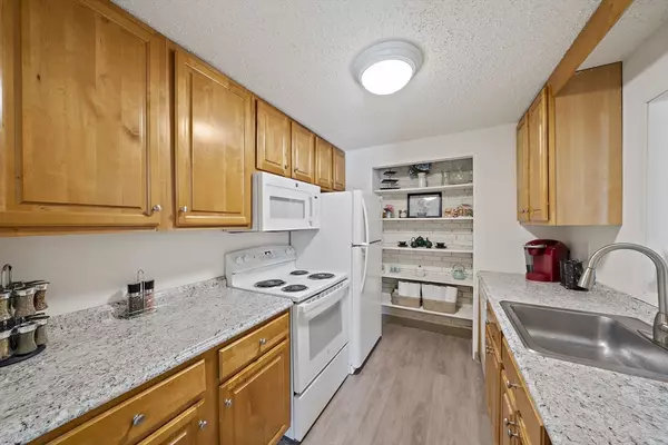 Weymouth, MA 02190,55 Greentree #19