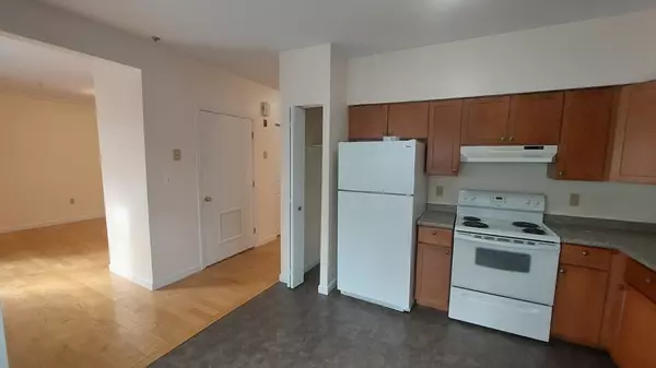 Boston, MA 02119,49 Cedar St #2 Rear