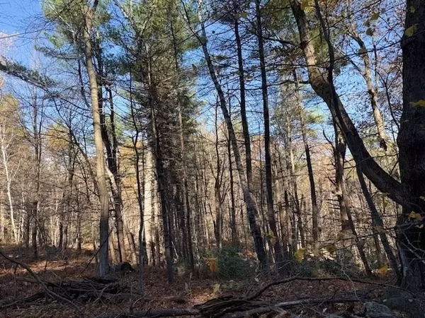 Ashby, MA 01431,0 Tract Of Land