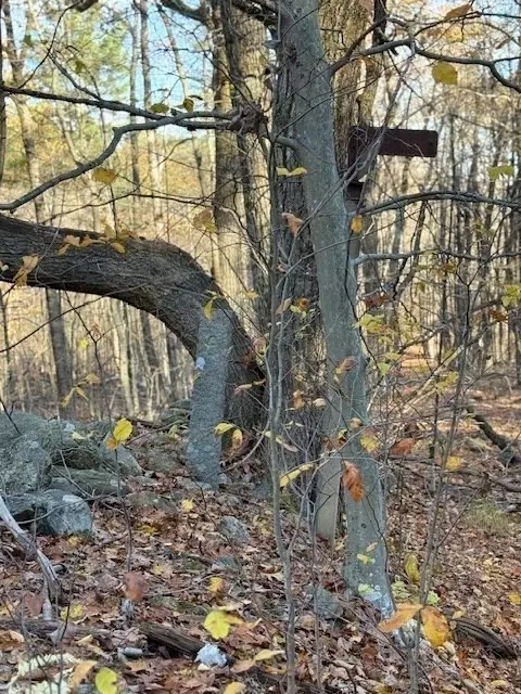 Ashby, MA 01431,0 Tract Of Land