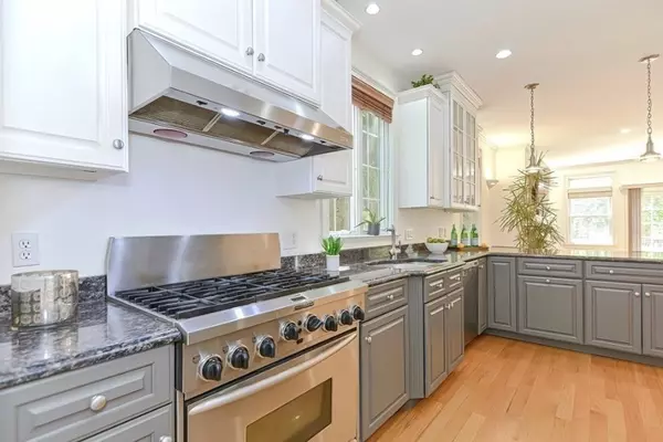 Natick, MA 01760,10 Lupine Rd #10