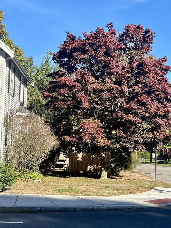 Needham, MA 02494,556 Webster Street