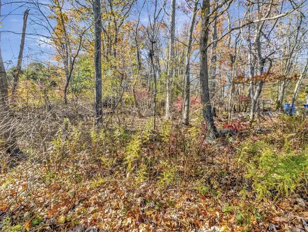 Randolph, MA 02368,9 Madison Avenue