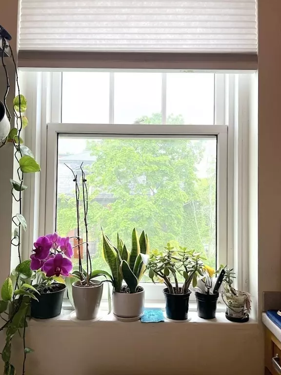 Cambridge, MA 02138,371 Harvard St. #3C