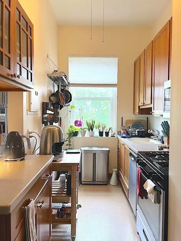 Cambridge, MA 02138,371 Harvard St. #3C