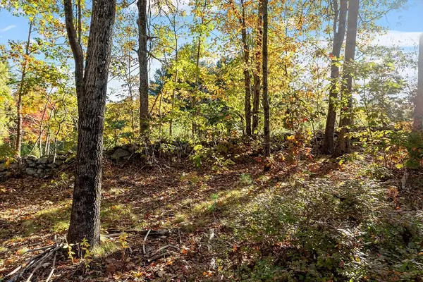 Holden, MA 01522,Lot 1 Manning St.