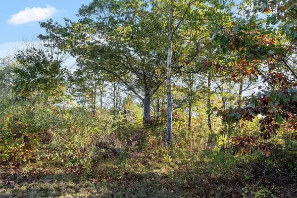 Holden, MA 01522,Lot 1 Manning St.