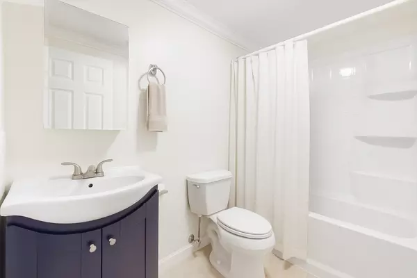 Boston, MA 02119,712 Shawmut #1R