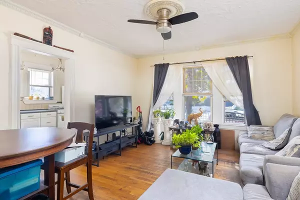 Lynn, MA 01902,99 Franklin Street