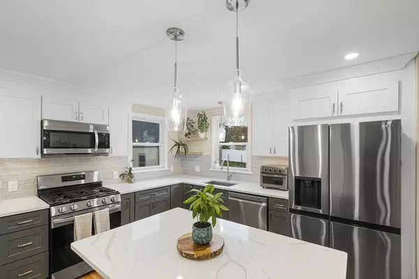 Newton, MA 02458,57 Cook #1