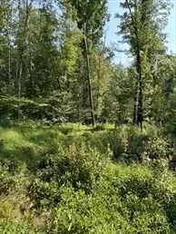 Douglas, MA 01516,183 Se Main Street