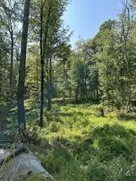 Douglas, MA 01516,183 Se Main Street