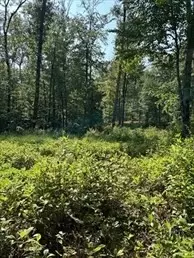 Douglas, MA 01516,183 Se Main Street