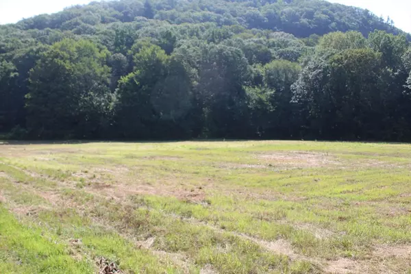 Deerfield, MA 01373,LOT D Mountain St