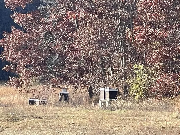 Halifax, MA 02338,148 Lot 1a Elm Street