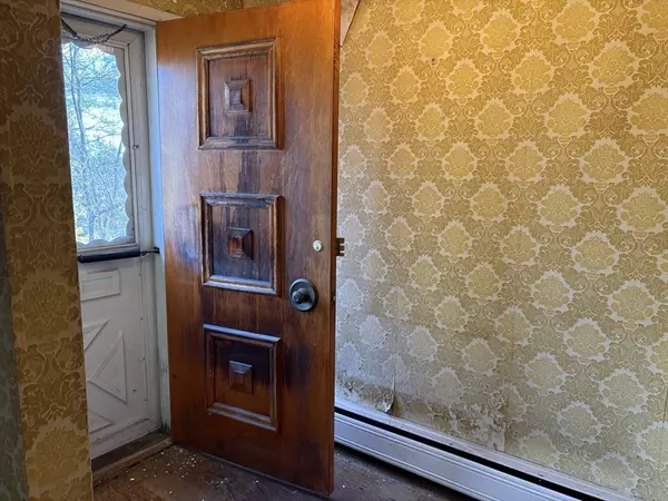 Worcester, MA 01603,22 Roy St