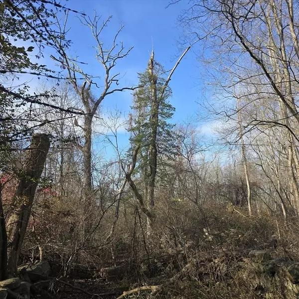 Milton, MA 02186,79 Hillside St