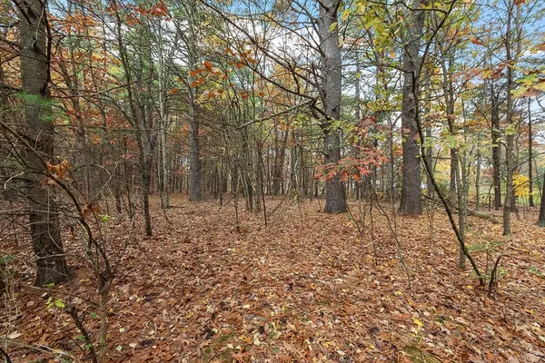 Shirley, MA 01464,45 Clark Rd