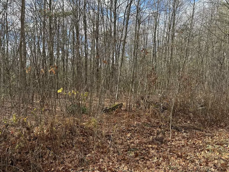 Lot 9 Jourdan Road, Montgomery, MA 01085