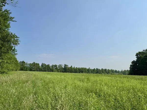 Hawley, MA 01339,0 Hunt Road