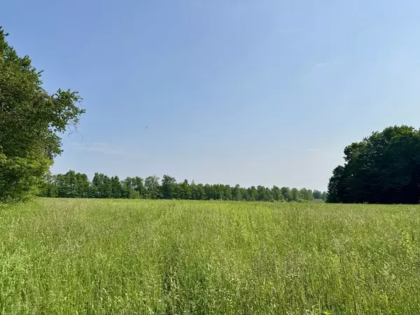 Hawley, MA 01339,0 Hunt Road