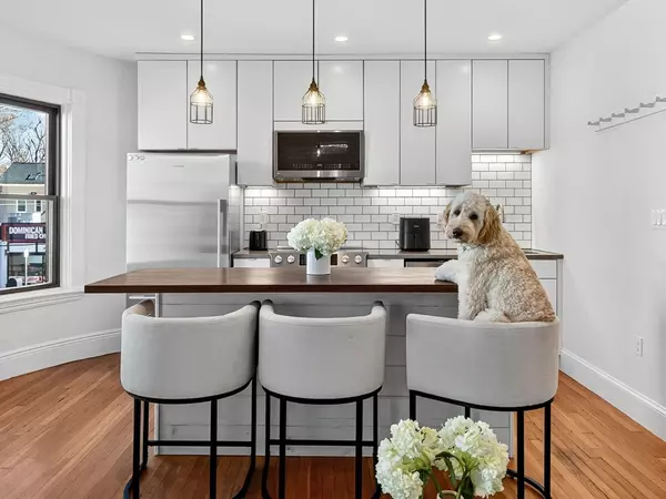 Boston, MA 02130,217 Boylston St #3