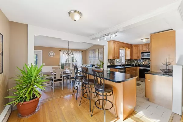 Westfield, MA 01085,846 East Mountain Road