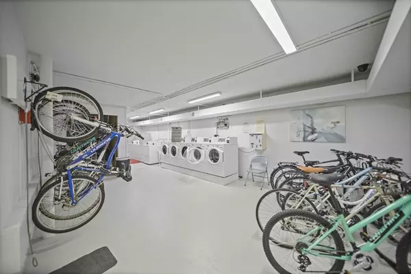 Brookline, MA 02446,50 Green #411