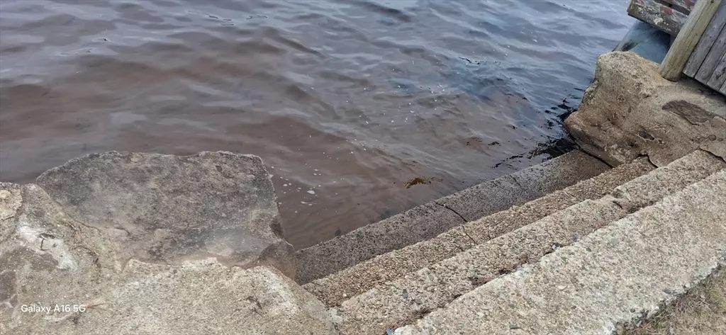 Lakeville, MA 02347,00 Island Rd